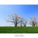 성원목장 이미지