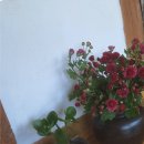 성수행정사사무소 이미지