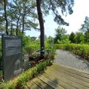 정숙옹주태실비 이미지