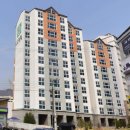 활천삼거리 김해방향 이미지