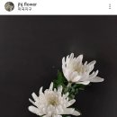 장호진플라워