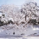 함평 경회루 이미지