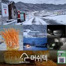 서설 - 성남시 수정구 | 서설