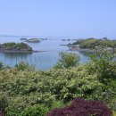 광천태양광발전소 이미지