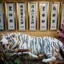 시곡4통마을회관 | 인생 꼬일 때 찾는 곳! 제천점집 기운 찐하게 받고 왔습니다