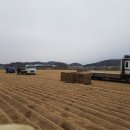 청은농장 이미지