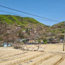 산안2리마을 이미지