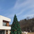 마당 넓은 피크닉 하기 좋은 카페 - 경주 스튜디오0330 내돈내산후기