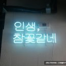 인생;꽃같네
