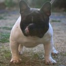 ZANYCAMP(재니캠프) 이미지