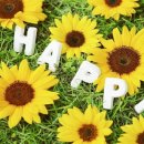 비아한의원 이미지