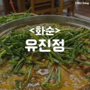 유진정 Daum카페