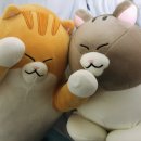 도곡1-106 이미지