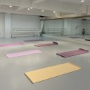 예핏발레