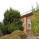 북부초등학교 이미지