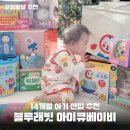 아이큐아이 | 유아 교구 추천 블루래빗 아이큐베이비 최종 후기 돌 아기 장난감세트 육아졸업템