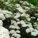 품안에 서해바다 이미지