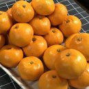 민우네농장 이미지