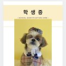 싱글멍글 네이버블로그