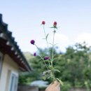 서해3농장 이미지