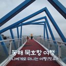 묵호항수변공원 | 묵호항 여행 볼거리, 도째비골 해랑전망대 스카이밸리