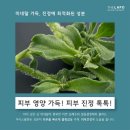 라포(LAPO) 이미지