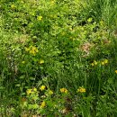 보훈농장 이미지