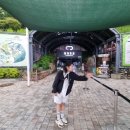 광명동굴 | 광명동굴 주말 방문 후기~ 아이들하고 나들이 하기 너무 좋아요~