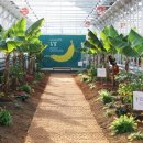 삼화농원 이미지