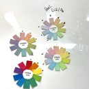 서울 퍼스널컬러 진단 및 가격 : 서울대입구역 오롯이컬러 솔직 후기