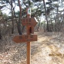 신동초교 티스토리