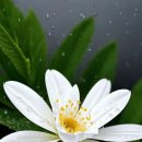 에델바이스 노래방 이미지