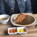 고씨네카레수원성대점 네이버블로그