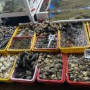 부안농협 부안지점하나로마트 이미지