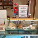 코피발리 | 대전 도안동 카페 코피발리 분위기 좋은 감성 카페 후기