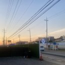 댕댕아리 이미지