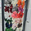 더 도도하개 이미지