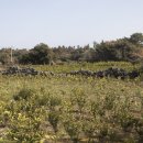 한라농장 이미지