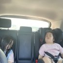 블루스프링리조트 이미지