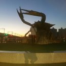 댄스스포츠 야간 이미지