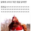 꼬꼬댁 - 포항시 북구 장량로 171 | 꼬꼬댁
