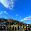 능주향교 은행나무 이미지