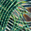 동아산소 이미지