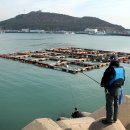 아주낚시민박 이미지