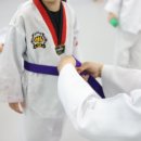 즐거운세종태권도장 | 대구 신천동의 가족 같은 태권도 도장, 즐거운 세종태권도장