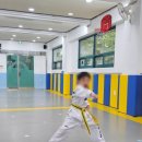 강담태권도 이미지