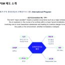 PSM 개요 이미지