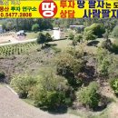 고삼호수낚시터