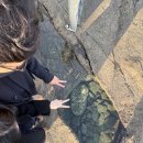 초우다방 | 3박 4일 겨울 제주도 여행🍊(2025.12.13 ~ 12.16)