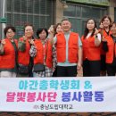 구기자 약초시장 이미지